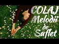 🔥Velvet Vibe - COLAJ Melodii de suflet | 2025 🔥 | Partea 2