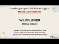 Download Lagu Wildflower - Billie Eilish | Cara baca lirik lagu bahasa inggris mudah  (easy lyrics)