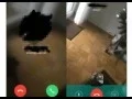 Whatsapp calling feature - leaked image