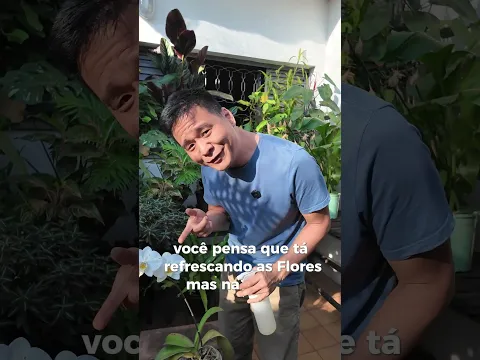Pinta preta nas flores das Orquideas!