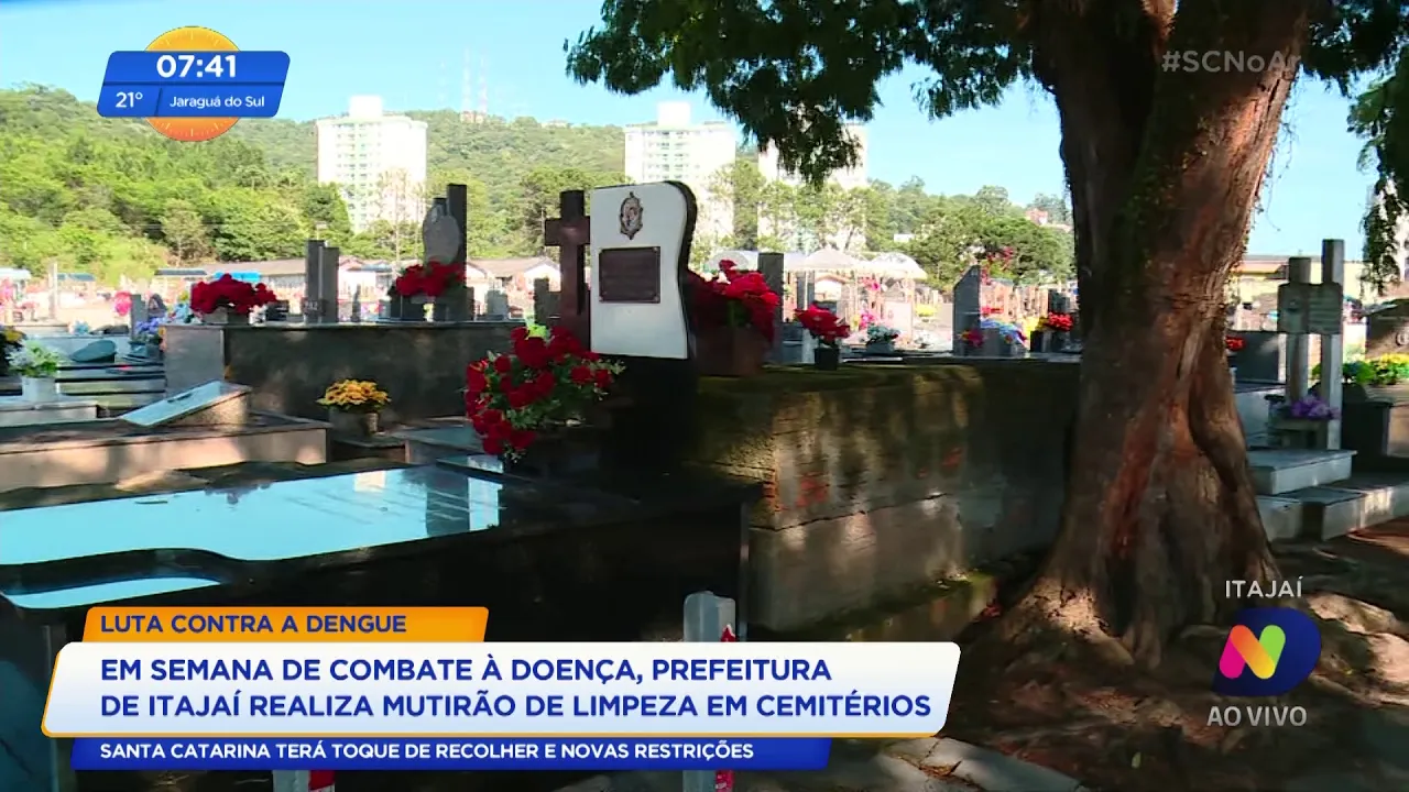 Semana de combate à dengue: Prefeitura de Itajaí realiza mutirão de limpeza em cemitérios