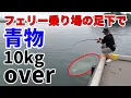 Download Lagu 【伝説の離島＃３】こんな所で！？フェリー乗り場の足下で釣りよかの１０年越しの夢が叶いました！！