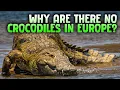 Here Is Why Europe Has NO CROCODILES