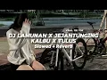 Lagu DJ LAMUNAN X JEJANTUNGING KALBU X TULUS ( SLOWED + REVERB )