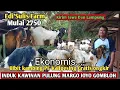 Download Lagu 2750..!! FREE SHIPPING ALL JAVA PE KALIGESING GOATS Edi Sulis Farm #PEgoats #goatprices