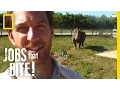 Let There Be Babies Jobs That Bite