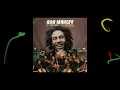 Download Lagu Stir It Up – Bob Marley and The Chineke! Orchestra (Visualizer)
