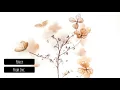Polar Inc. - Pearly