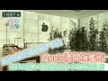 Apple Store