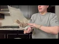 Review of Vacuum Sealer Bags for Airtight Food Storage and Sous Vide