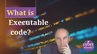 What is executable code