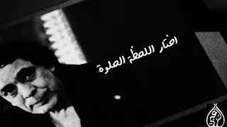 الكينج محمد منير عيش وقتك عيش ايامك حالة واتس  الكينج محمد منير عيش وقتك عيش ايامك حالة واتس