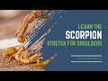 Download Lagu Learn the Scorpion Stretch for Healthy Shoulders