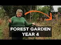 Download Lagu Food Forest Garden Tour | Permaculture in practice (August 2025)