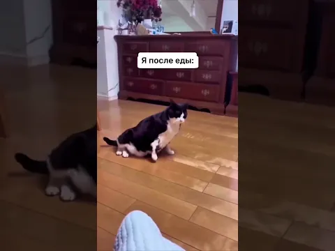 Кто то после еды…