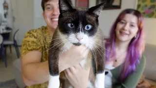 fomos tomar um café e voltamos com mais um gato