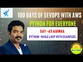 Python While Loop with Real Examples