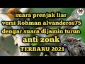 Download Lagu SUARA BURUNG PRENJAK LIAR  RIBUT SANGAT AMPUH UNTUK PEMIKAT mp3  [TERBARU 2021#Rohmanalvanderos75