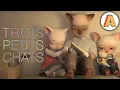 Download Lagu THREE LITTLE CATS - Animation short film - French - Full Movie - CGI 3D - Autour de Minuit