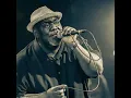 Altered Five Blues Band  Brand New Bone