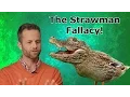 The Straw man Fallacy With Kirk Cameron and the Crocoduck
