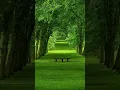 MASHALLAH Beauty of nature gives quietism #relaxingmusic #naturalbeautiful