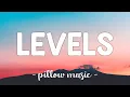Download Lagu Levels - Avicii (Lyrics) 🎵