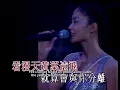 約定- 王菲