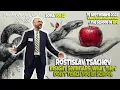 Rostislav Tsachev - Insight Seminars What They Don t Teach You in School