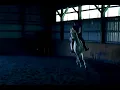 dressage lesson with rocky