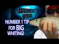 Download Lagu Adventure Bound Classic - Big Whiting In Western Port