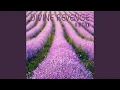 Download Lagu Rainy Springtime