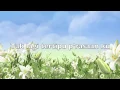 Download Lagu My Hymns - Hanya Tahu MengasihiMu