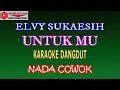 Download Lagu KARAOKE DANGDUT UNTUK MU - ELVY SUKAESIH (COVER) NADA COWOK Gminor