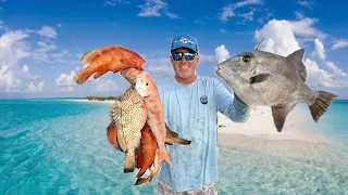 3 Days and 350 Miles Round Trip to the Bahamas Fishing and Exploring (Catch & Cook)