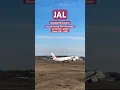 Lagu JAL DREAMLINER TAKEOFF - VOLUME UP #jal #japan #boeing787dreamliner