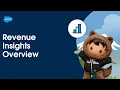 Revenue Insights Overview CRM Analytics