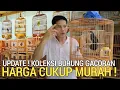 Download Lagu GUDANG BURUNG ! BAHAN GACORAN LENGKAP HARGA CUKUP MURAH PASAR BURUNG PRAMUKA HARI INI 