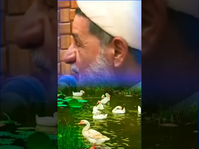 ⁣لاحول ولاقوة الابالله العلي العظيم  #الشيخ جعفر الإبراهيمي