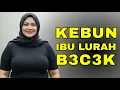 Download Lagu KISAH NYATA !! BU LURAH KHILAF DENGAN KURIR PAKET