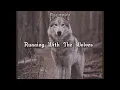Download Lagu Aurora - Running With the Wolves (sped up)