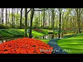 Download Lagu 아름다운 계절을 만끽하세요 / Wonderful Day -Sweet People /1h repeat / fine relaxation/  상쾌한 휴식