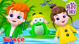 Küçük Kurbağa Kulağın Nerede? 🐸 | Bebekler için şarkılar | Hello Tiny Türkçe