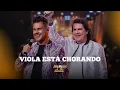 Download Lagu Viola esta chorando - João Moreno e Mariano \