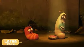 Airform | Animation Compilation | Larva Tuba | Official