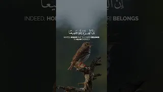 تلاوة خاشعة تبكي الحجر لسورة يونس عبد الباسط Abdulbasit 