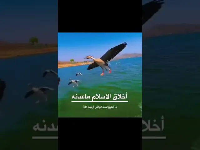 ⁣ما عدنه اخلاق الإسلام || د. الشيخ أحمد الوائلي