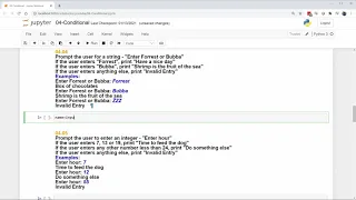 Python Practice Problems - 04 Conditional Execution