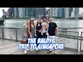 Download Lagu Liburan singkat ke negara tetangga 🦁 | The Baldys