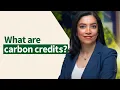 Unlocking the world of carbon credits with RVCMC s CEO Riham ElGizy Ep1